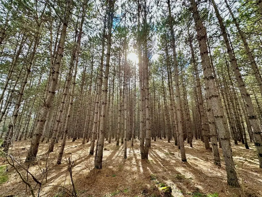 5 Acres 630th Street, Colfax, WI 54730 - #2