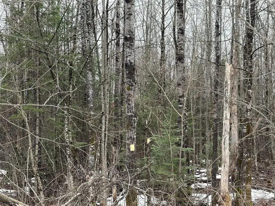 ON Hofer Road, Couderay, WI 54828 - #2