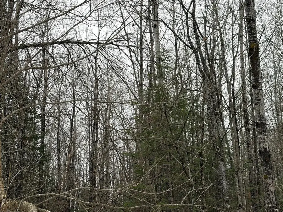 ON Hofer Road, Couderay, WI 54828 - #3