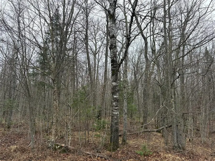 ON Hofer Road, Couderay, WI 54828 - #2