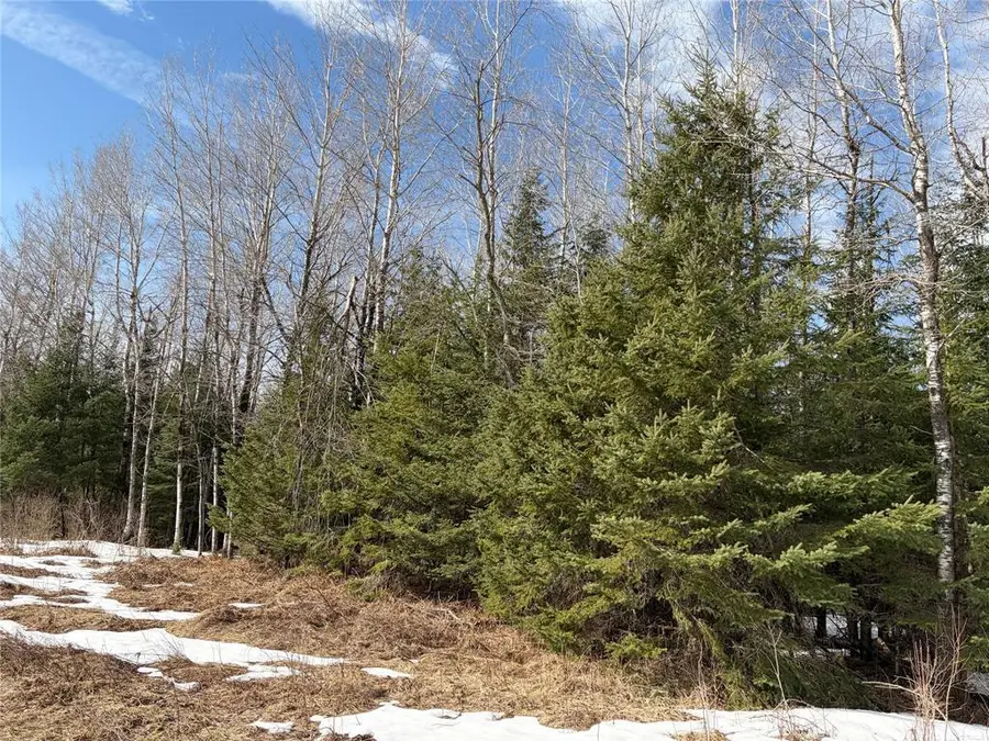 ON CTH F, Park Falls, WI 54552 - #3