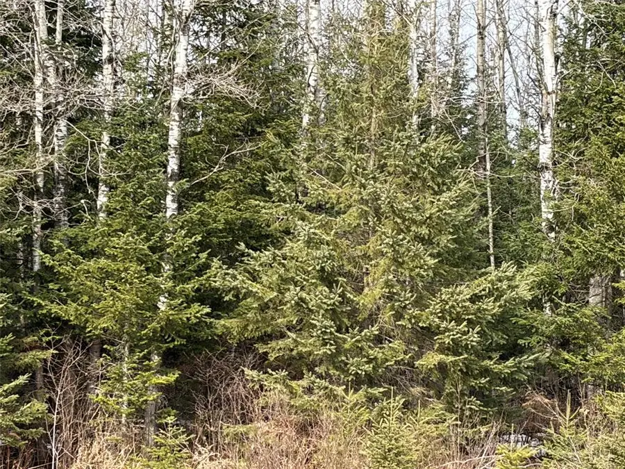 ON CTH F, Park Falls, WI 54552 - #3