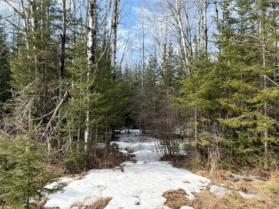 ON CTH F, Park Falls, WI 54552 - #3