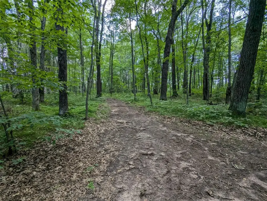 Lot 2 Fosmo, Webster, WI 54893 - #3