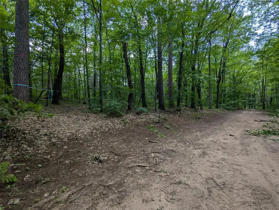 Lot 4 Fosmo, Webster, WI 54893 - #3