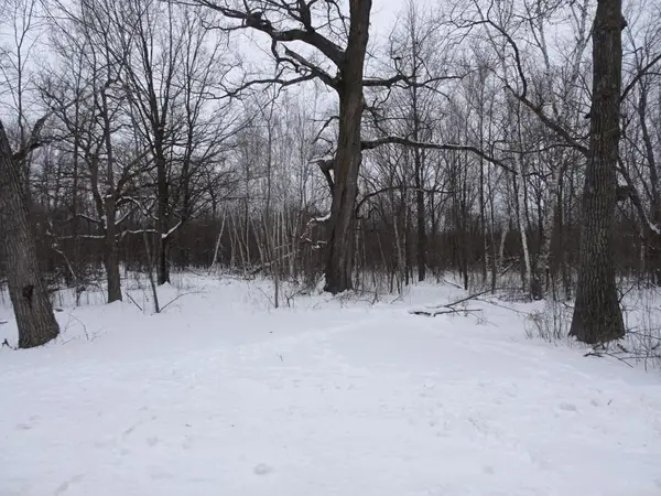 XXX 150th Street, Milltown, WI 54858