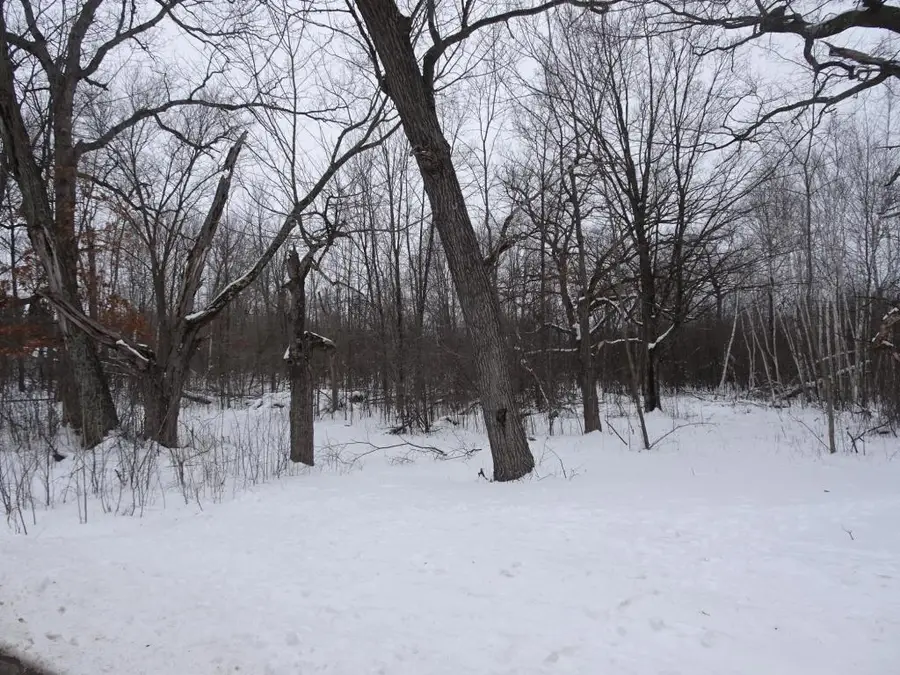 XXX 150th Street, Milltown, WI 54858 - #3