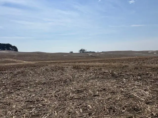 XXX Halama Road, Independence, WI 54747 - #2