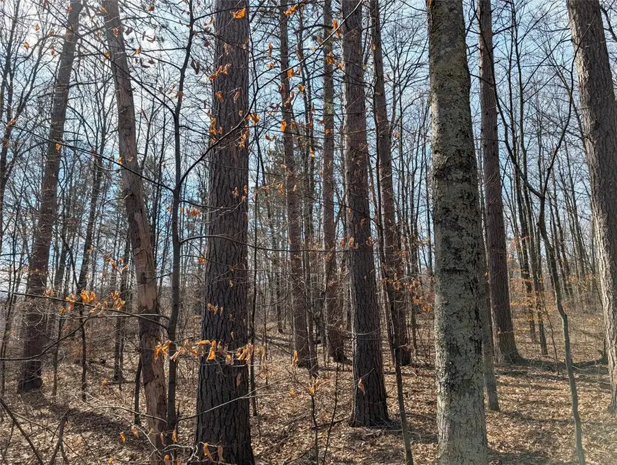 00 Larson Rd, Springbrook, WI 54875 - #2