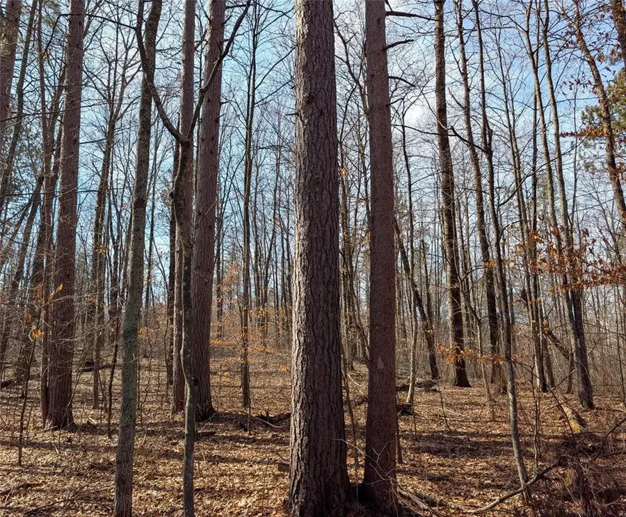 00 Larson Rd, Springbrook, WI 54875 - #3