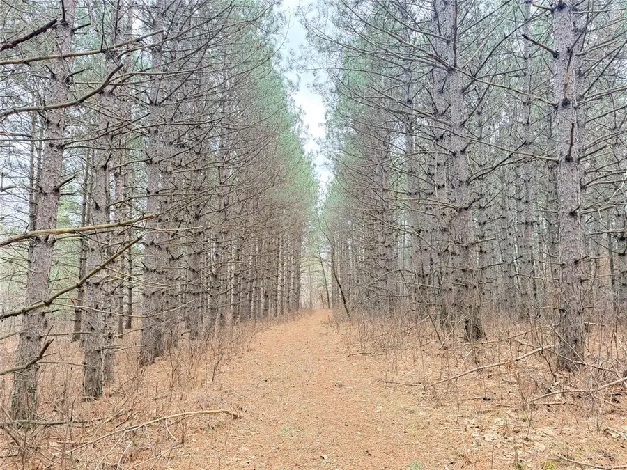 Lot 5 Big Lake Drive, Osceola, WI 54020 - #3