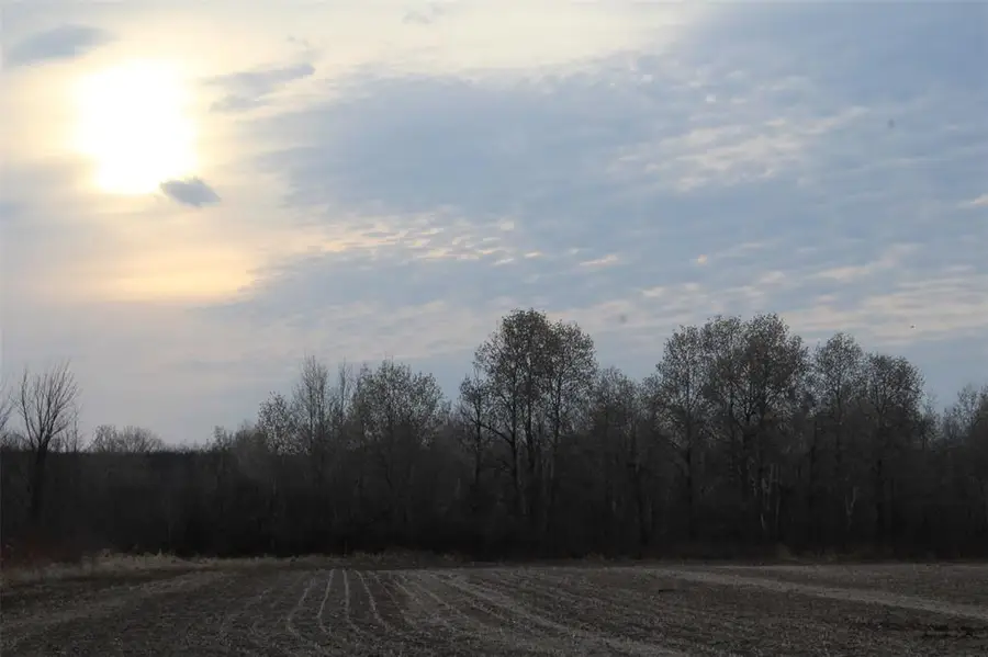 1563 Helena Drive, Willard, WI 54731 - #2