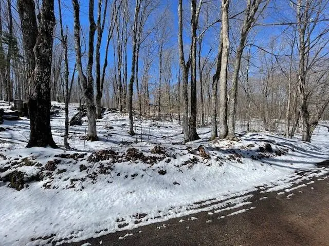 Lots 54 & 55 Wolf Island Road, Hayward, WI 54843 - #1