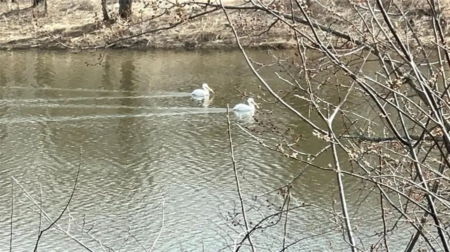 N4548 County Road N, Arkansaw, WI 54721 - #2