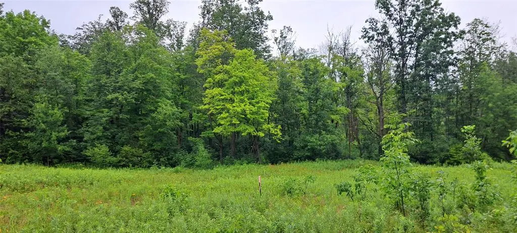 Lot 3 Musky Point Drive, Stone Lake, WI 54876 - #1
