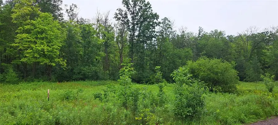 Lot 3 Musky Point Drive, Stone Lake, WI 54876 - #2