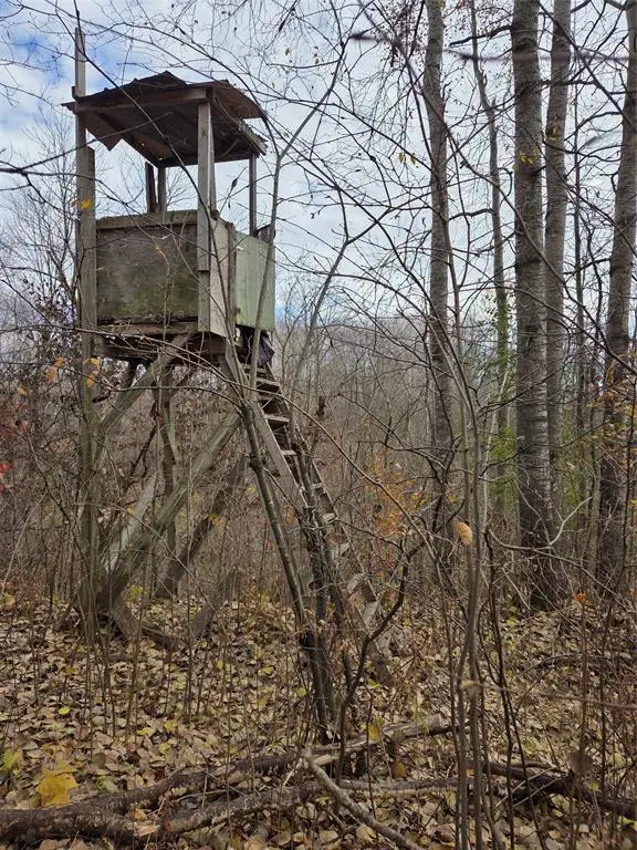 On Hwy 48, Rice Lake, WI 54868 - #2