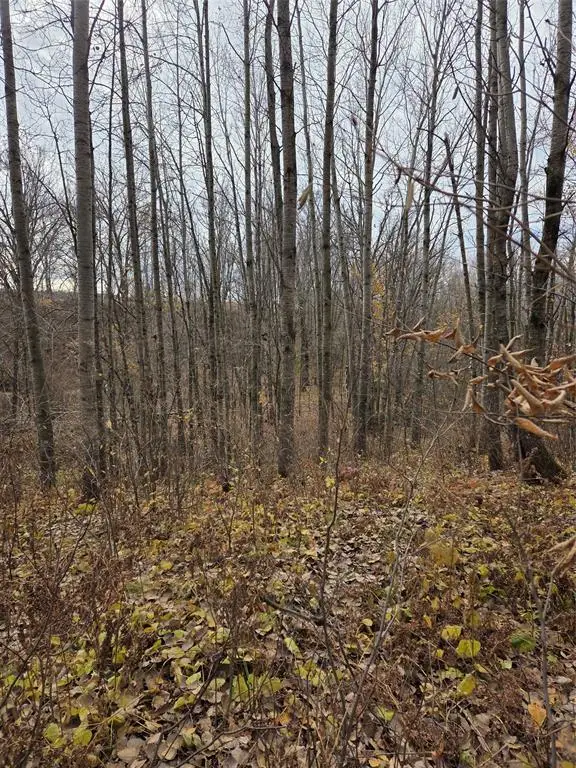 On Hwy 48, Rice Lake, WI 54868 - #3