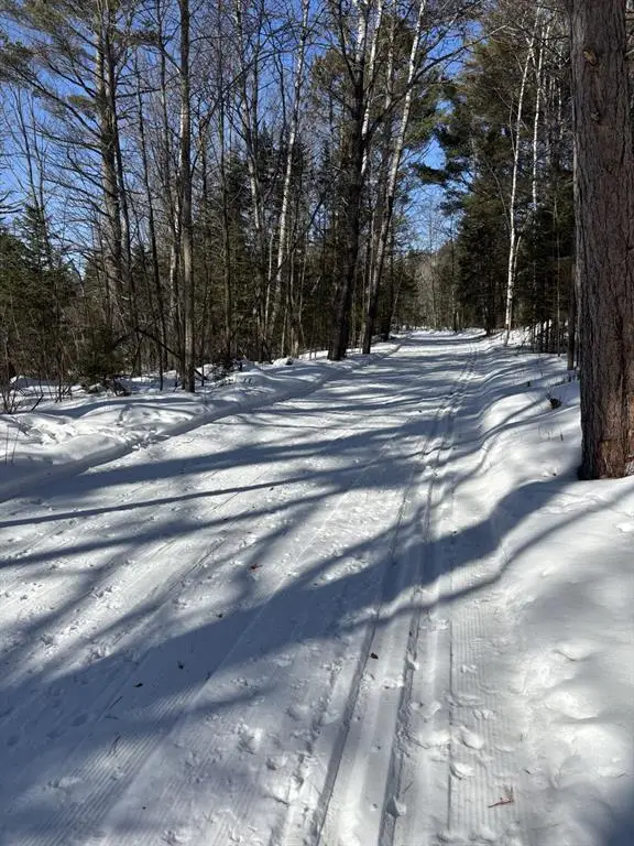 11349N Vasa Road, Hayward, WI 54843