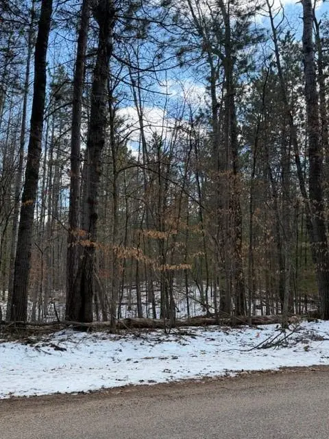 TBD E Long Lake Road, Danbury, WI 54830