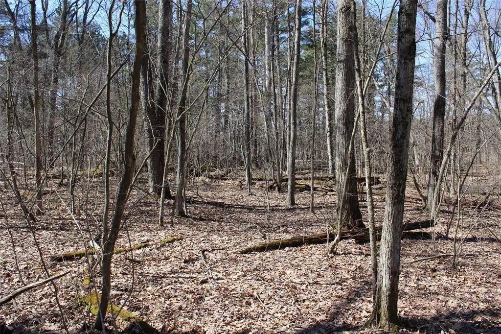 00 Resewood Ave. - Lot 4, Neillsville, WI 54456 - #1