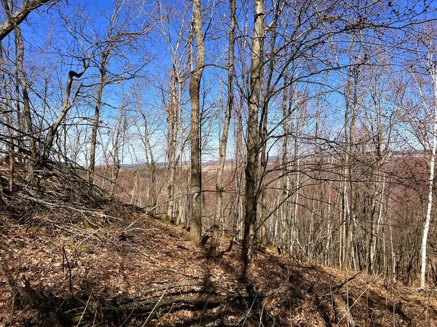 000 Pete Coulee Road, Taylor, WI 54659 - #2