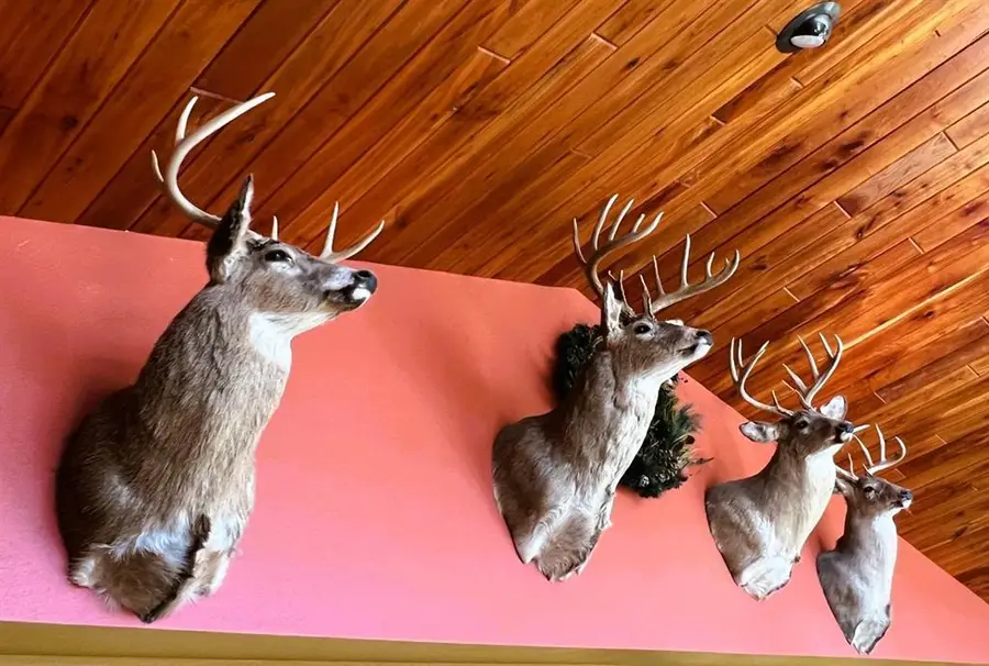 000 Pete Coulee Road, Taylor, WI 54659 - #3