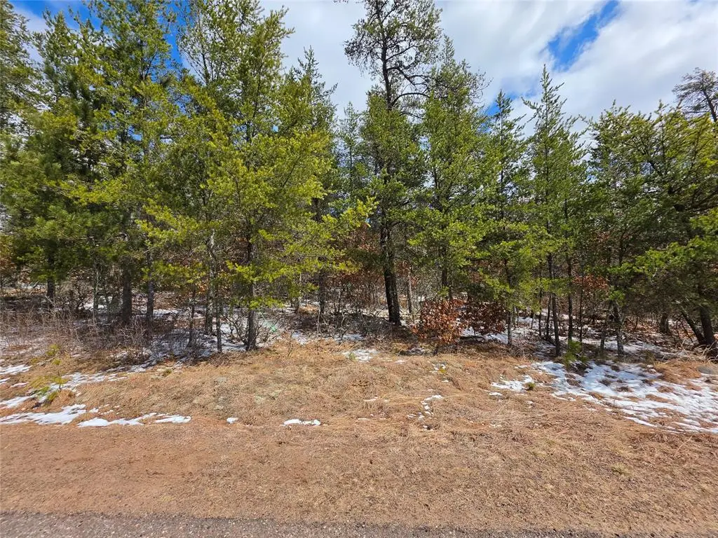 9075 W Wood Duck Lane, Minong, WI 54859 - #1