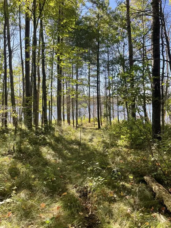 10385 Whispering Pines Road, Drummond, WI 54832 - #2