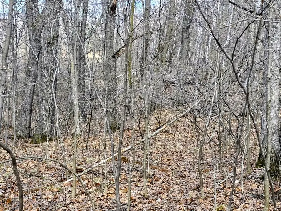 00 Highway W, Weyerhaeuser, WI 54895 - #3