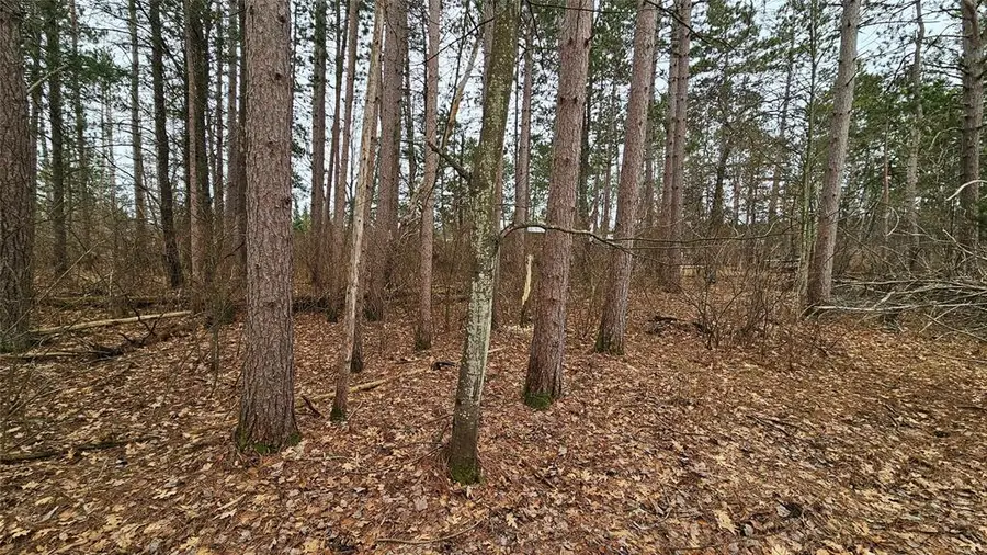 Lot 2 Jenny Lane, Hayward, WI 54843 - #3