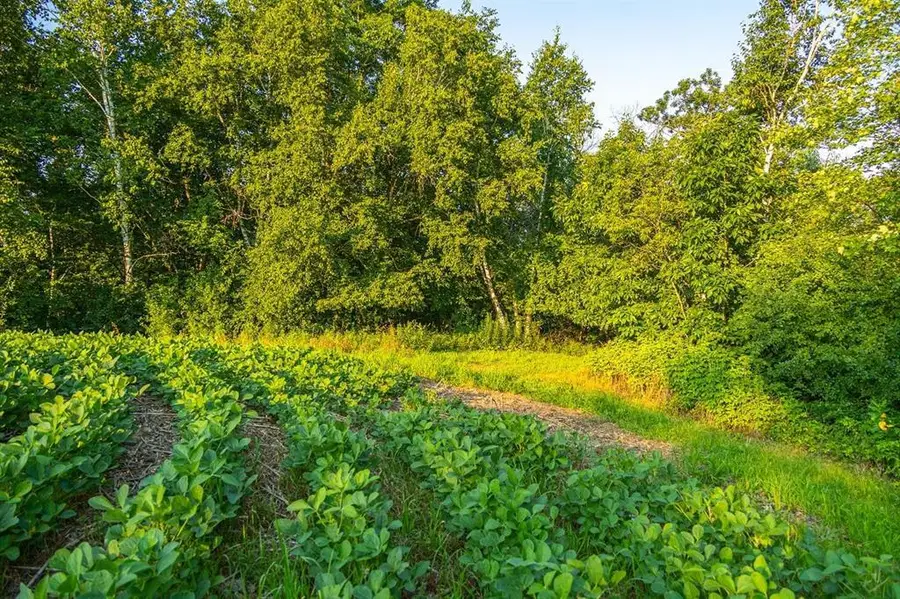 TBD County S Road, Blair, WI 54616 - #2