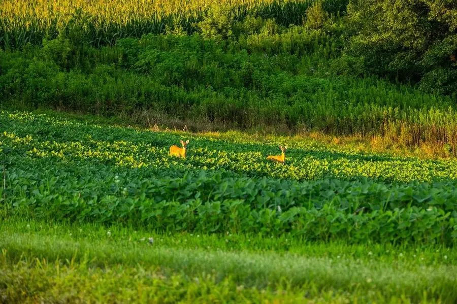 0 County Road S, Blair, WI 54616 - #3