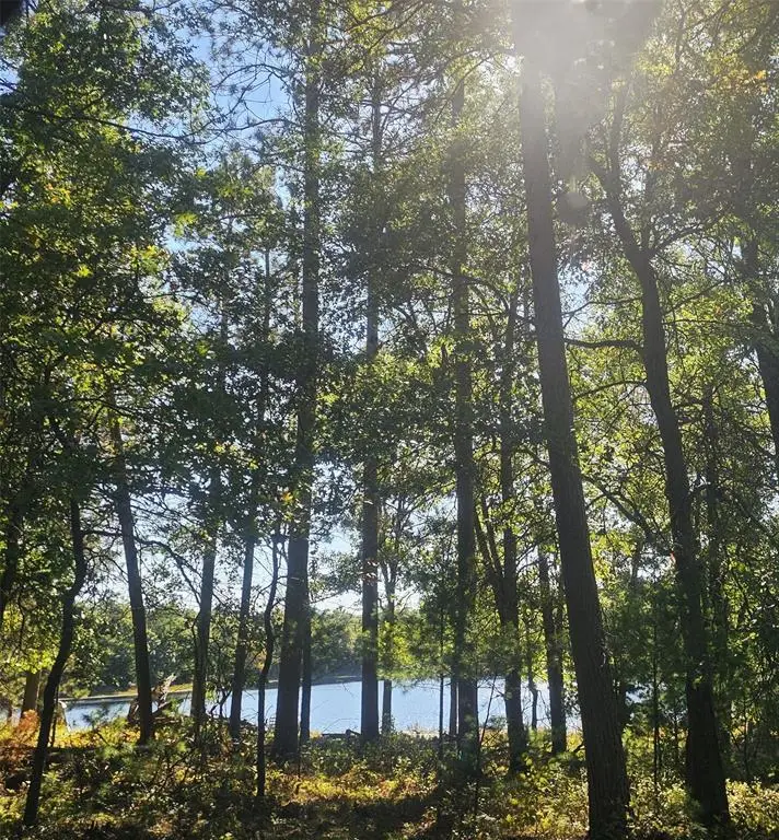 xxx County Road H Road, Danbury, WI 54830 - #1