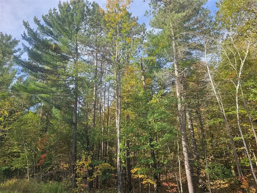 xxx County Road H Road, Danbury, WI 54830 - #3