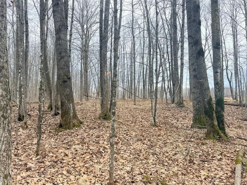 Lot 3 Hwy X, Glen Flora, WI 54526 - #1