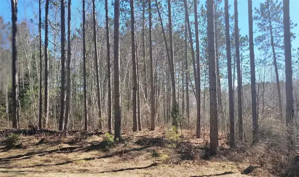 On Hunter Lake Road, Winter, WI 54896