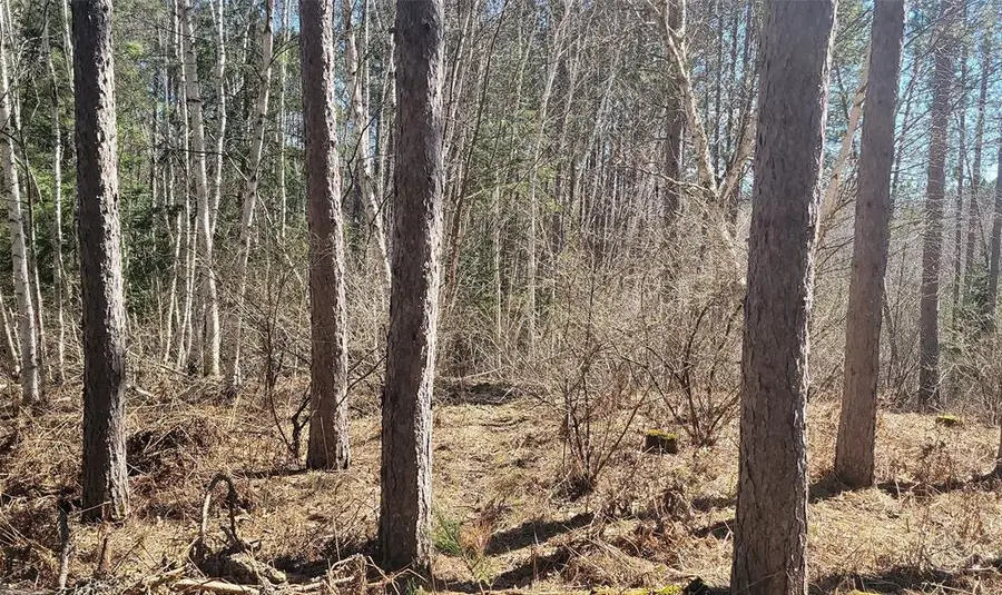 On Hunter Lake Road, Winter, WI 54896 - #2