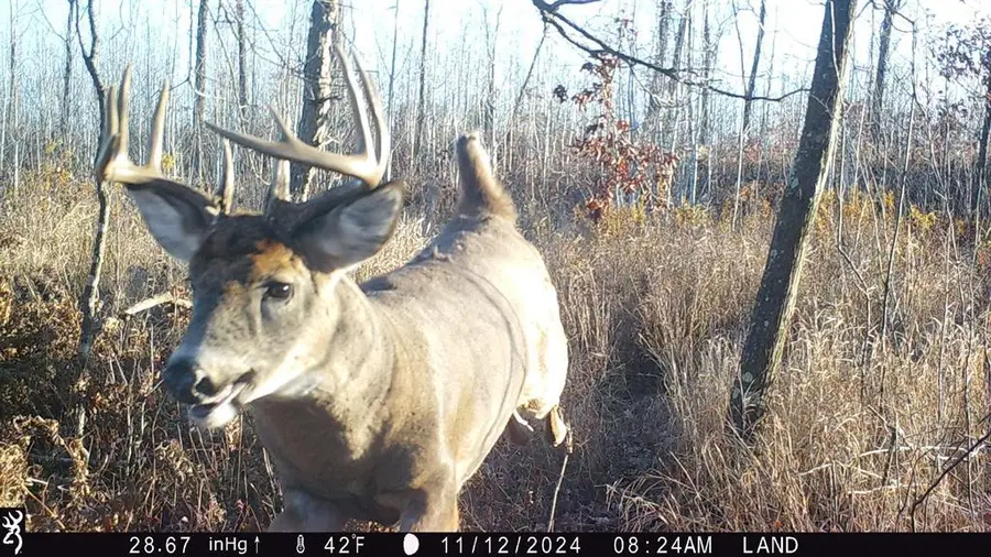 Lot 4 160th Avenue, Turtle Lake, WI 54889 - #3