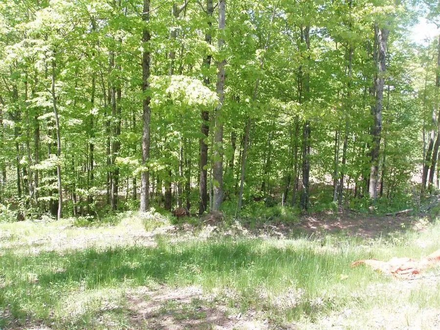 Lot 1 On Highway 169, Mellen, WI 54546 - #2