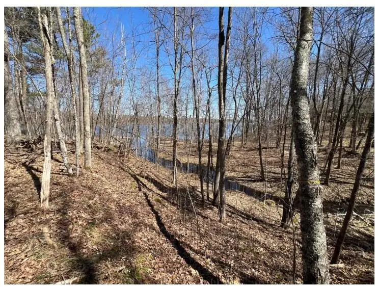 43TBD Red Oak Lane, Stone Lake, WI 54876 - #3