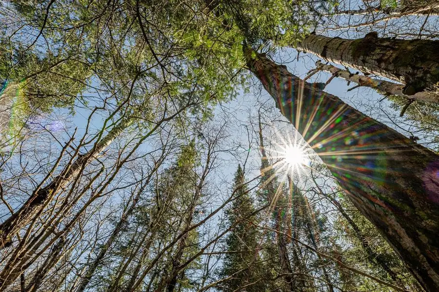 0 Clover Rd S, Winter, WI 54896 - #2