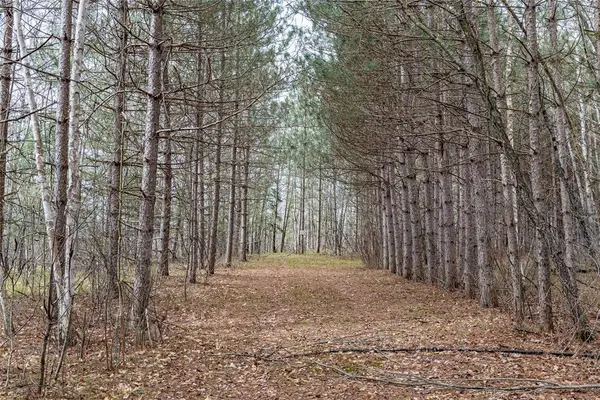 40 Acres Adams & Jones Road, Bruce, WI 54819