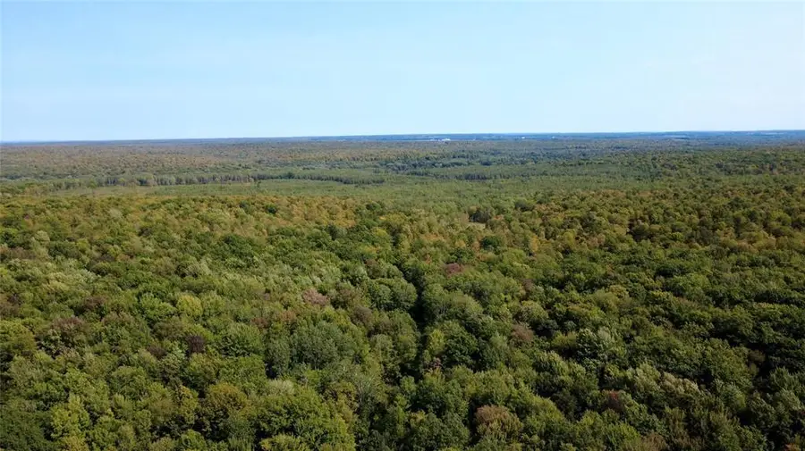 000 Nehrbass Road, Athens, WI 54411 - #2