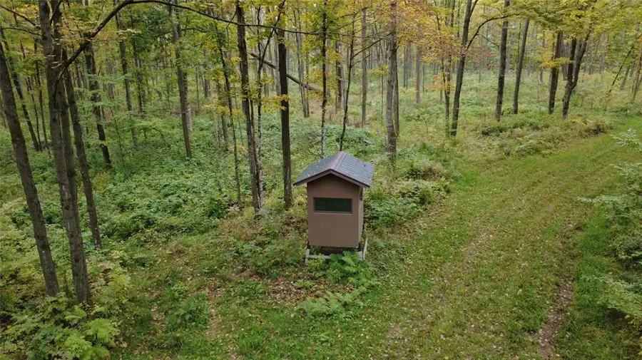 000 Nehrbass Road, Athens, WI 54411 - #3