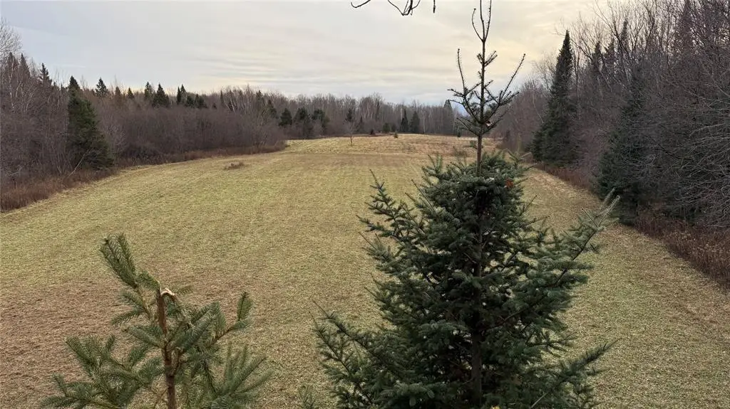 80+/- Acres Off South Park Road, Butternut, WI 54514 - #1