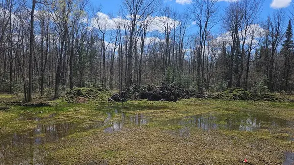 12331 Delap Lane, Couderay, WI 54828