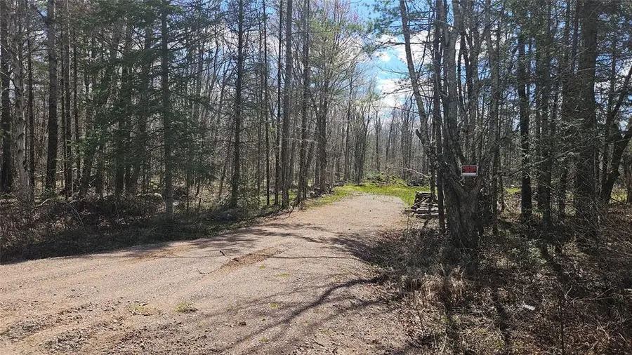 12331 Delap Lane, Couderay, WI 54828 - #2