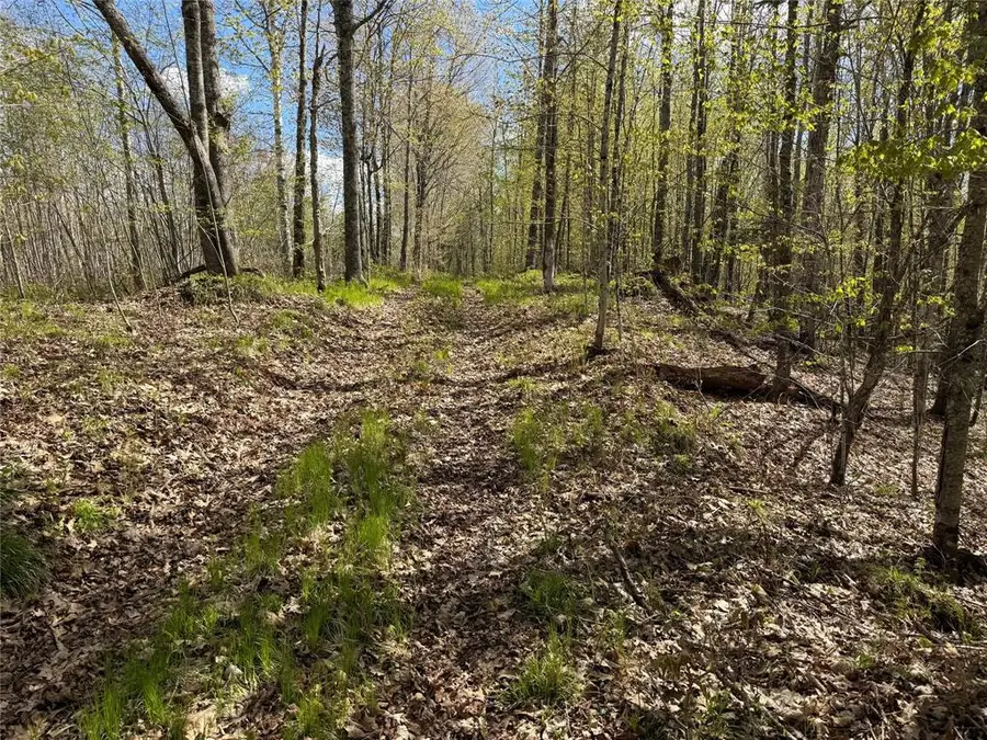 XXX Leonard Road, Stone Lake, WI 54876 - #2