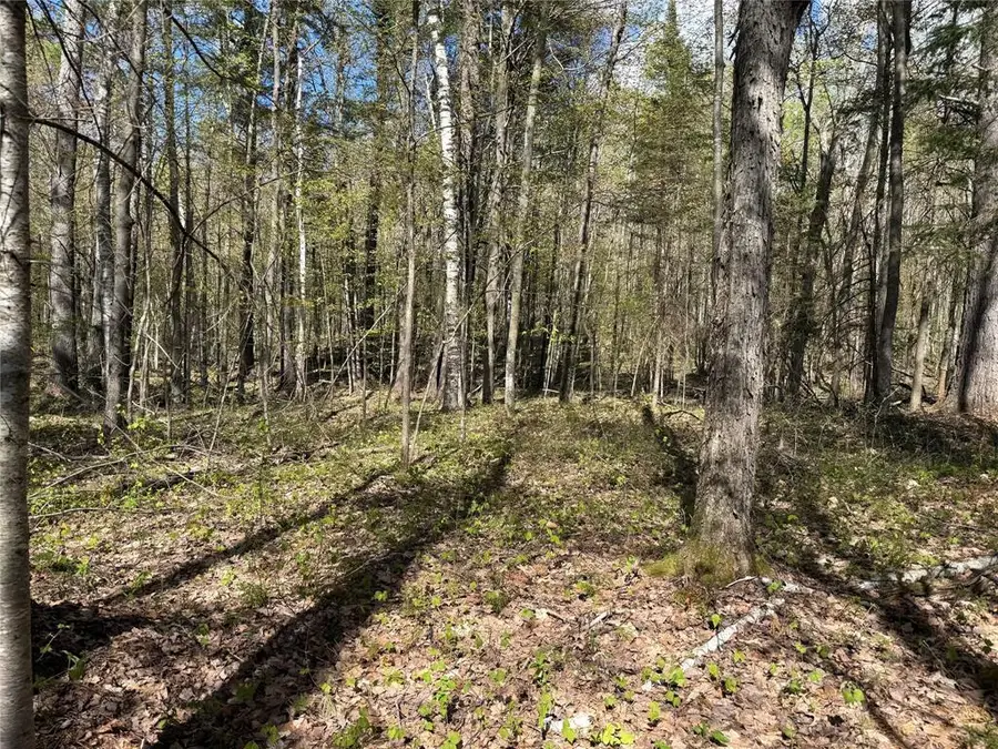 XXX Leonard Road, Stone Lake, WI 54876 - #3
